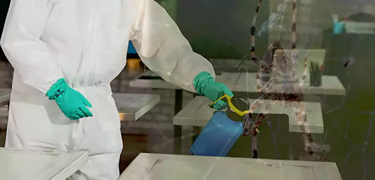 Why Buyers Still Want Homes With Pest Infestations in Omaha, NE?