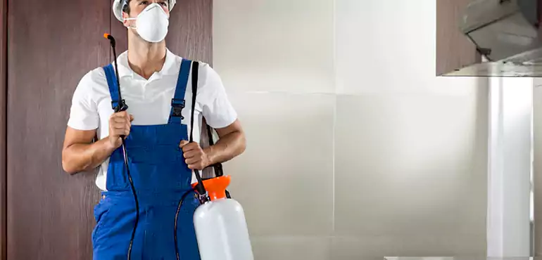 Why Omaha Homeowners Choose Us When Pests Make Selling Difficult