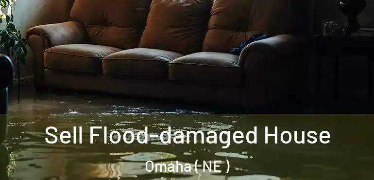  Sell Flood-damaged House Omaha ( NE )